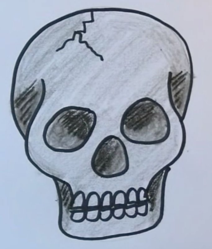 Череп для срисовки