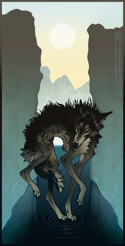 Canis Albus художник