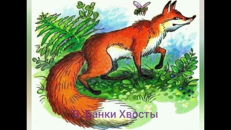 Сказка хвосты Бианки