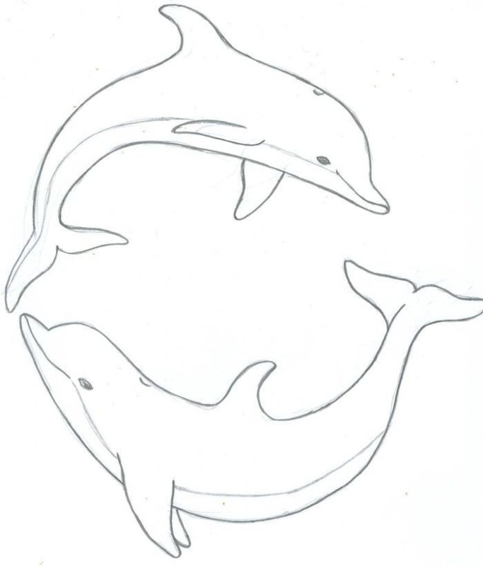 Рисунок дельфина