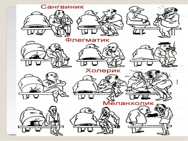 Темперамент человека в картинках