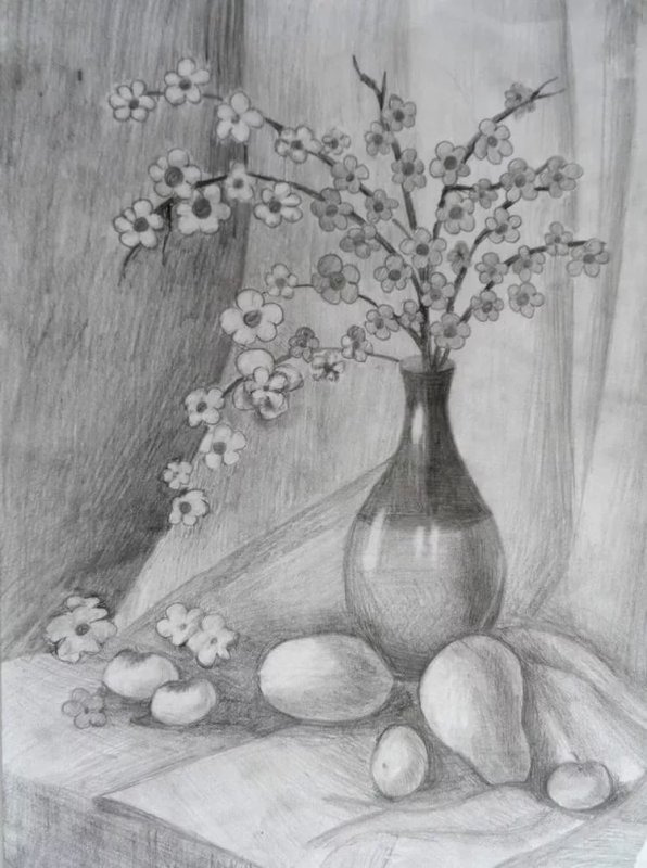 Натюрморт рисунок карандашом