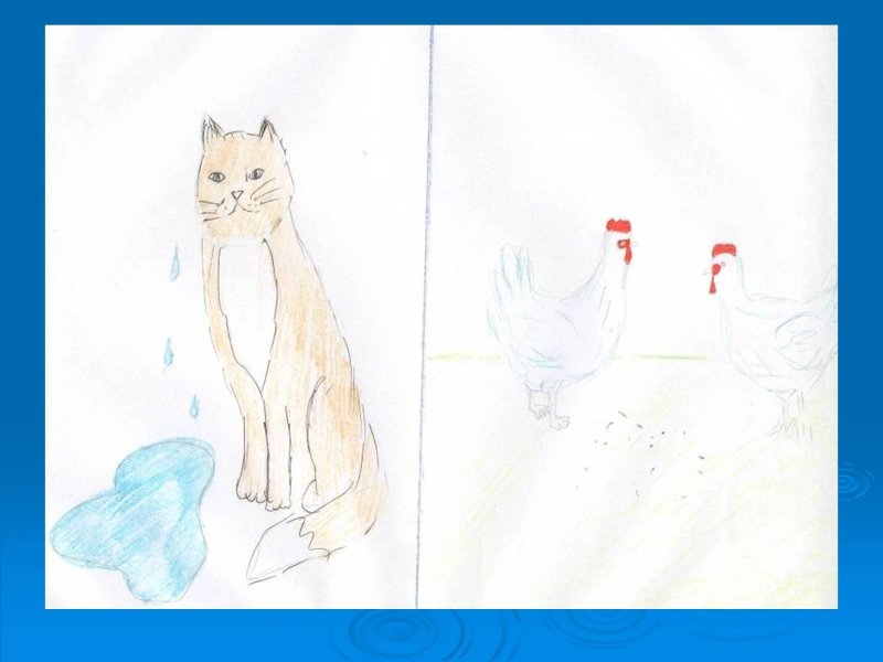 Кот наплакал рисунок