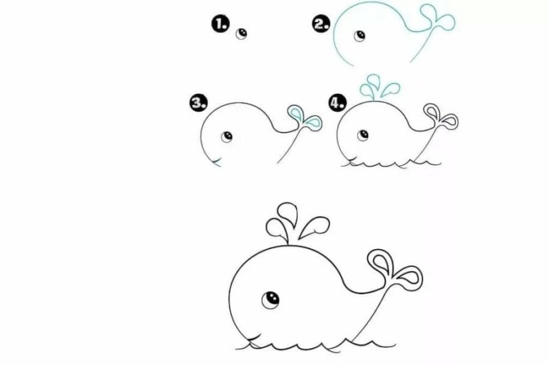 Кит рисунок для детей карандашом легкий