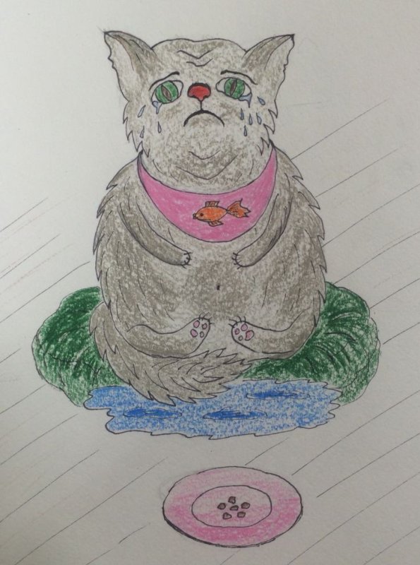 Кот наплакал рисунок