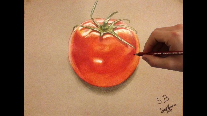 помидор карандашом