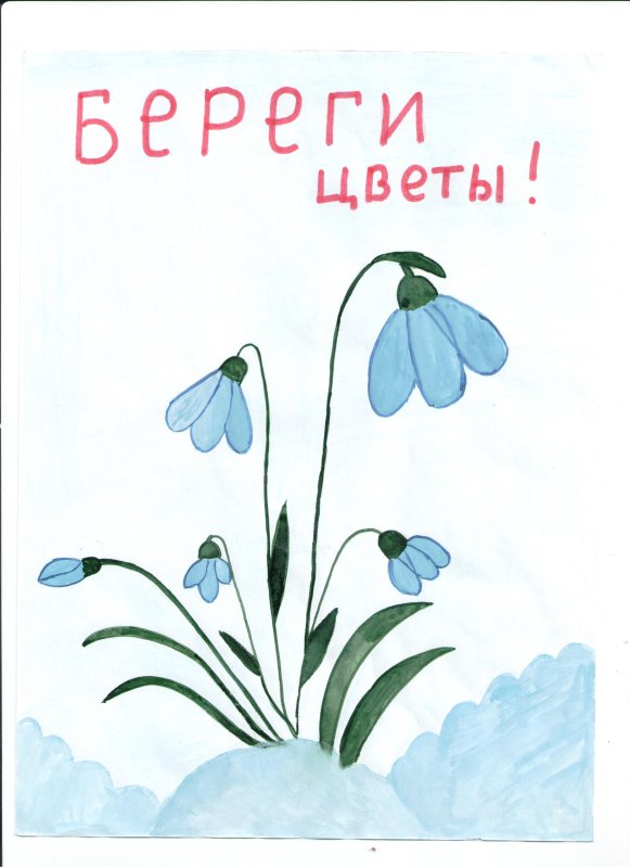 Берегите цветы рисунки