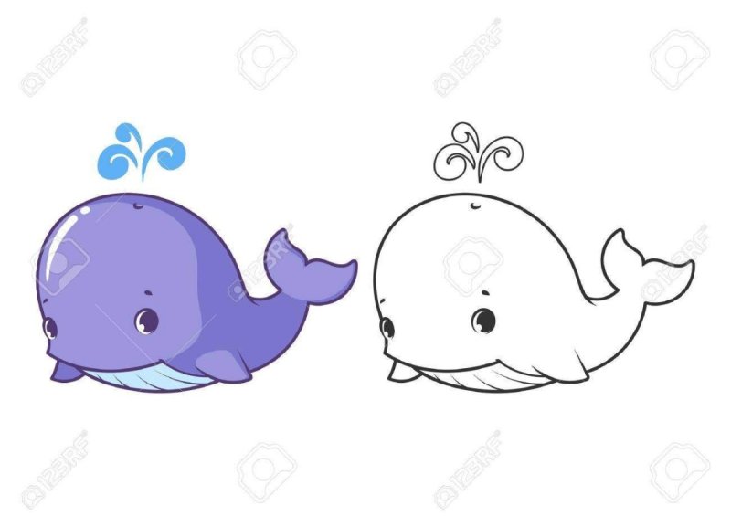 Рисунок кита для срисовки