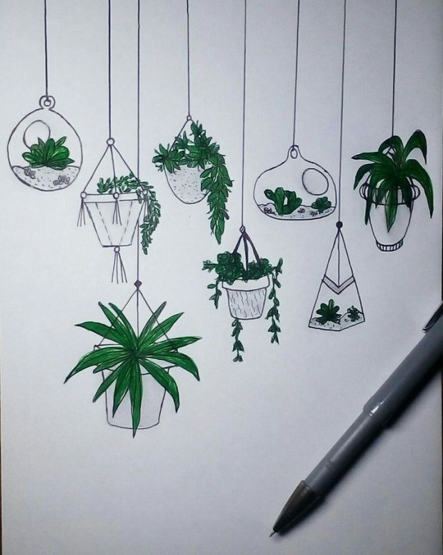 Идеи для рисунков растения легко