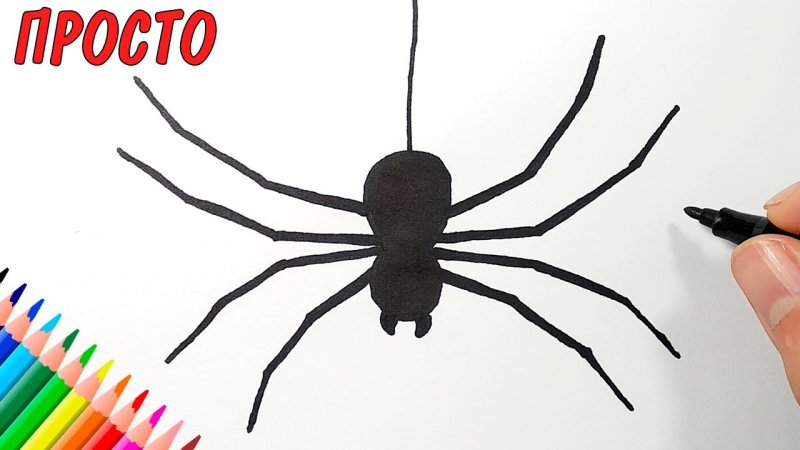 Паучок нарисовать легко