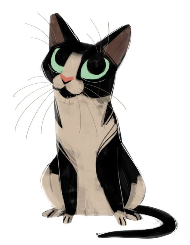 Heather Nesheim кошки