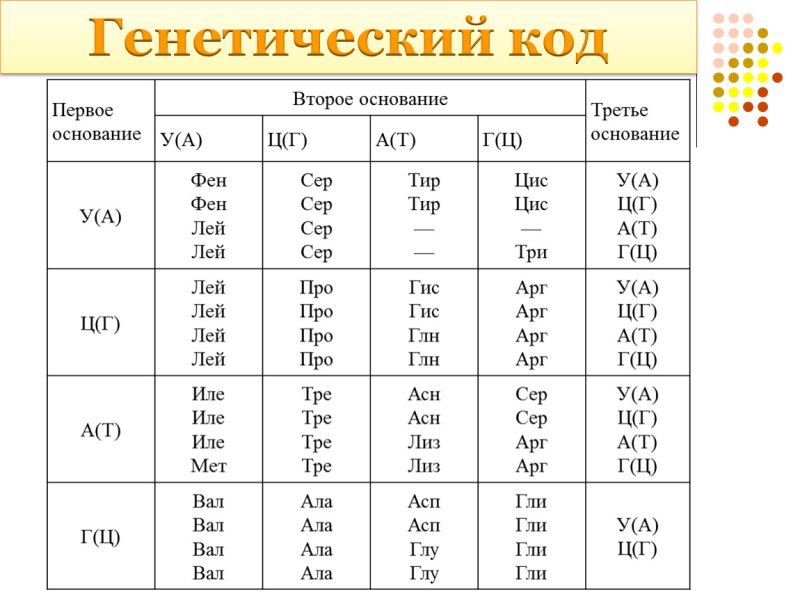 генетический код таблица