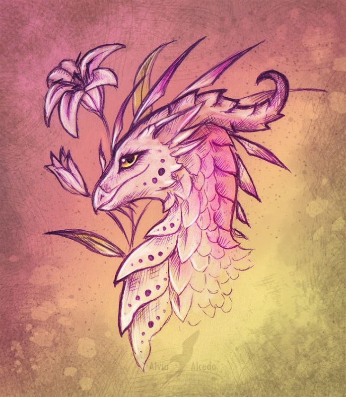 Alvia Alcedo драконы