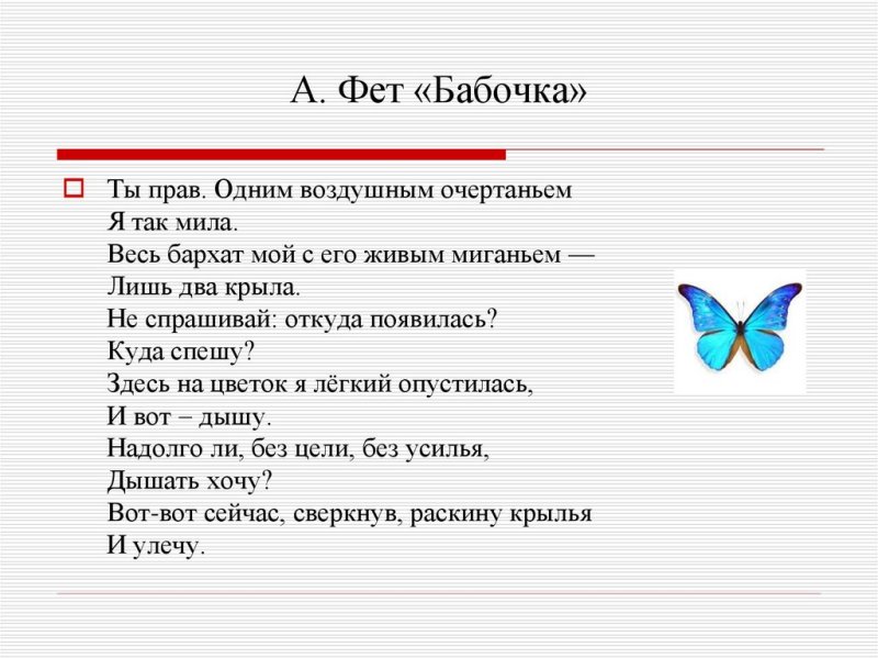 Стихотворение бабочка Фет