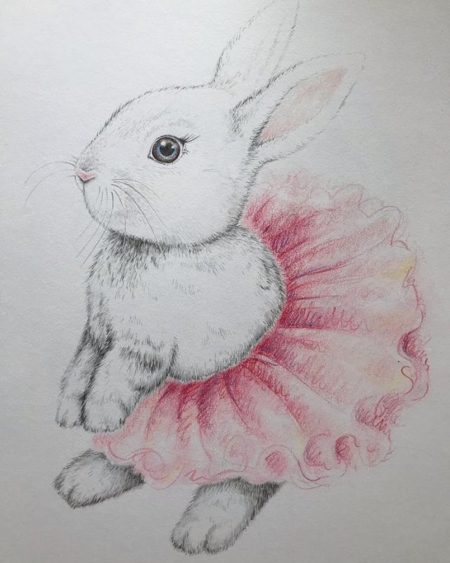Кролик для рисования