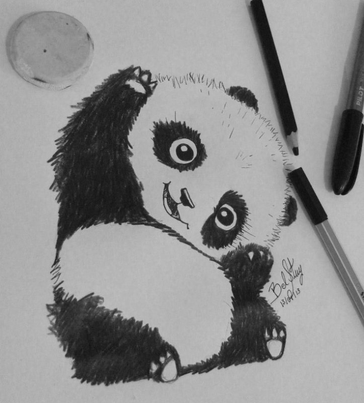 панда рисунки