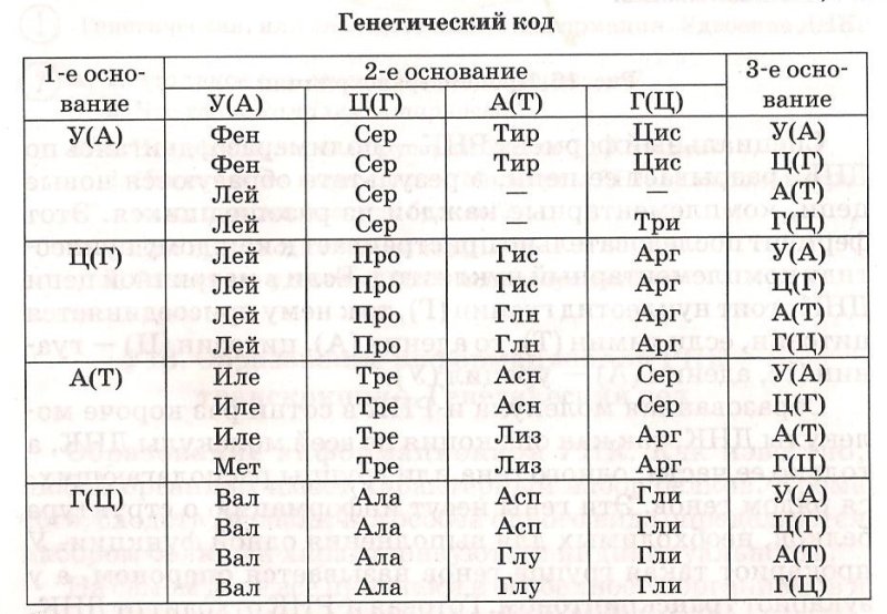 Таблица триплетов генетического кода