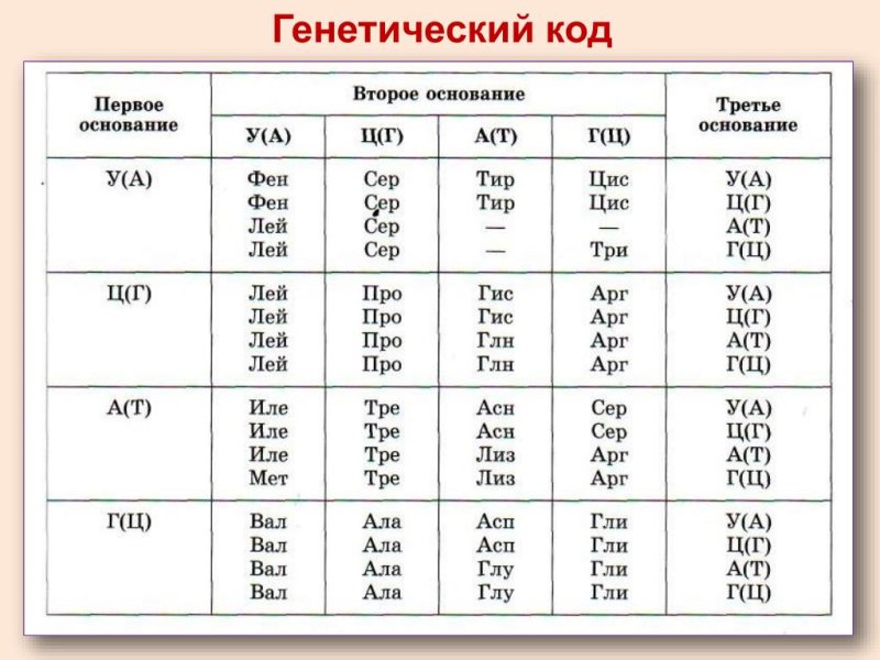 Таблица генетического кода ИРНК И ДНК