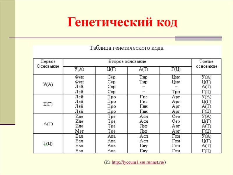 Таблица расшифровки ДНК