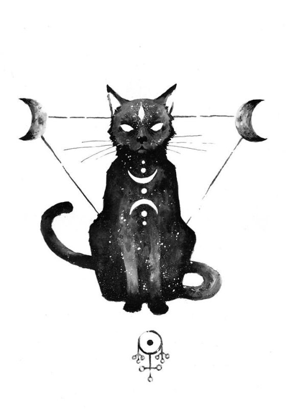 Кошка рисунок