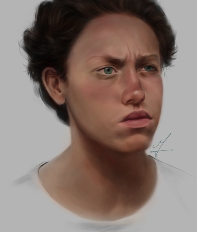 карл галлагер арт