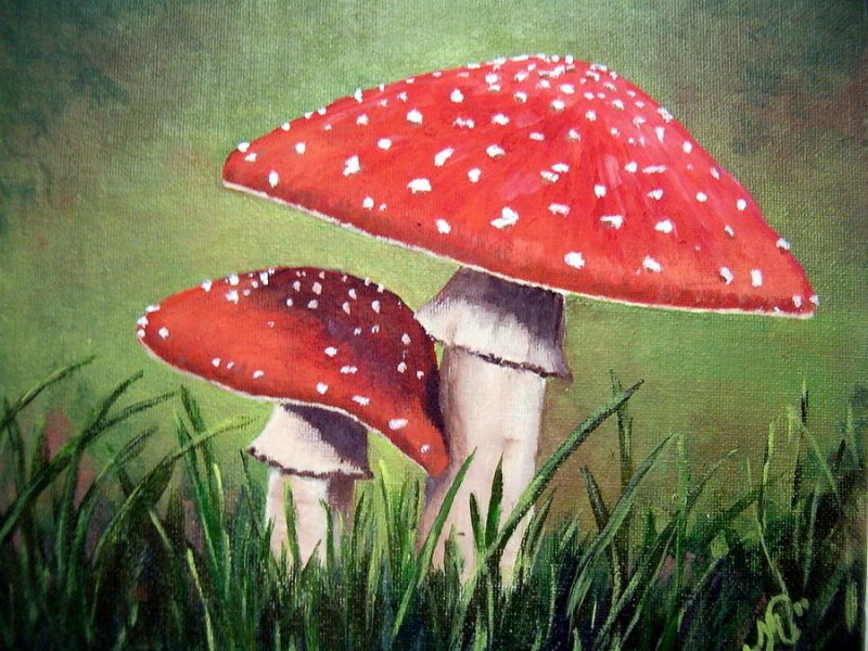 Поганка Мухоморовна