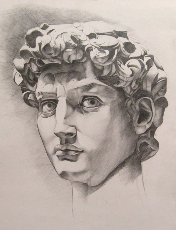 гипсовая голова давида микеланджело