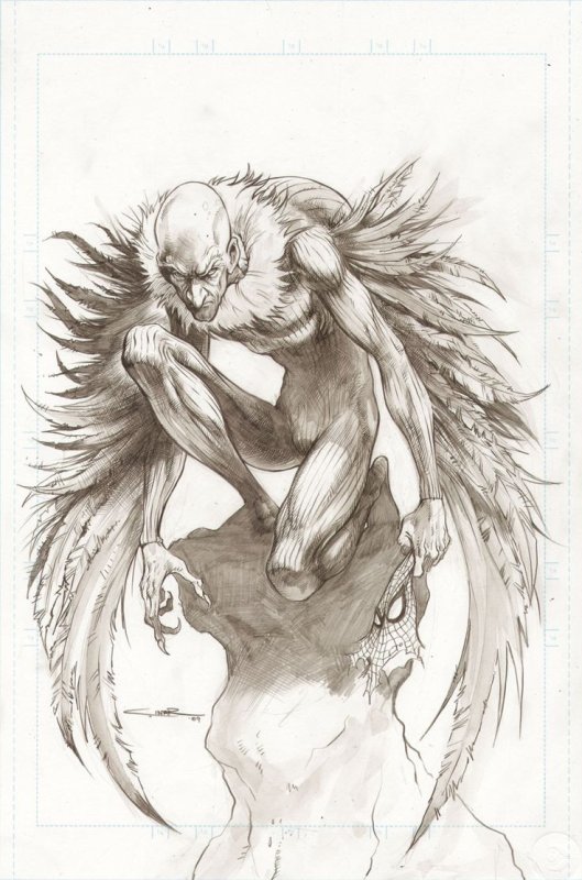 Стервятник рисунок