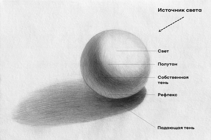 Тени в рисовании для начинающих