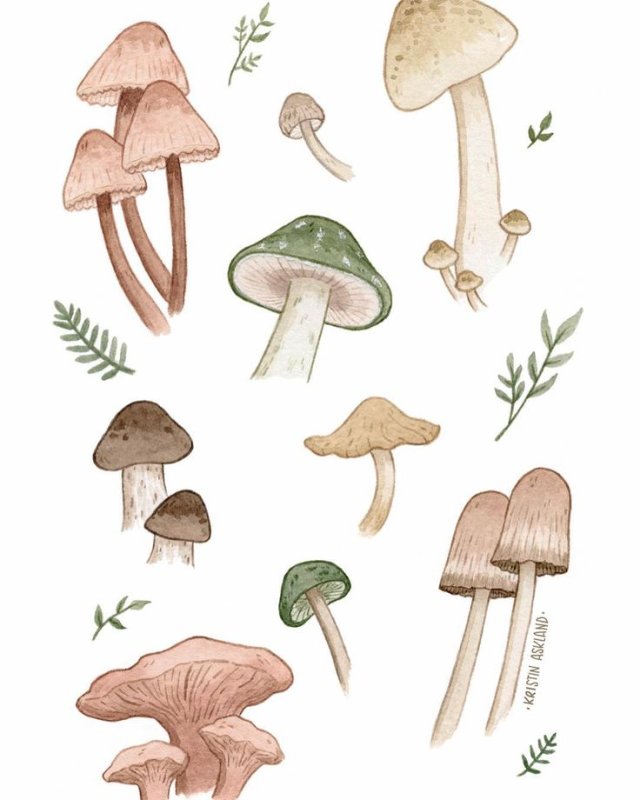 Рисунки для срисовки грибочки