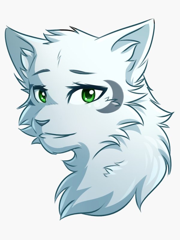 Коты Воители half Moon