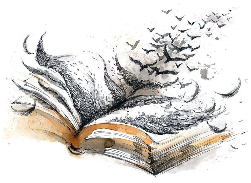 Книжка рисунок
