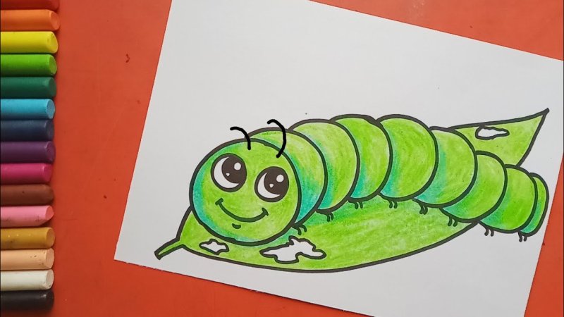 Гусеница рисунок для детей карандашом