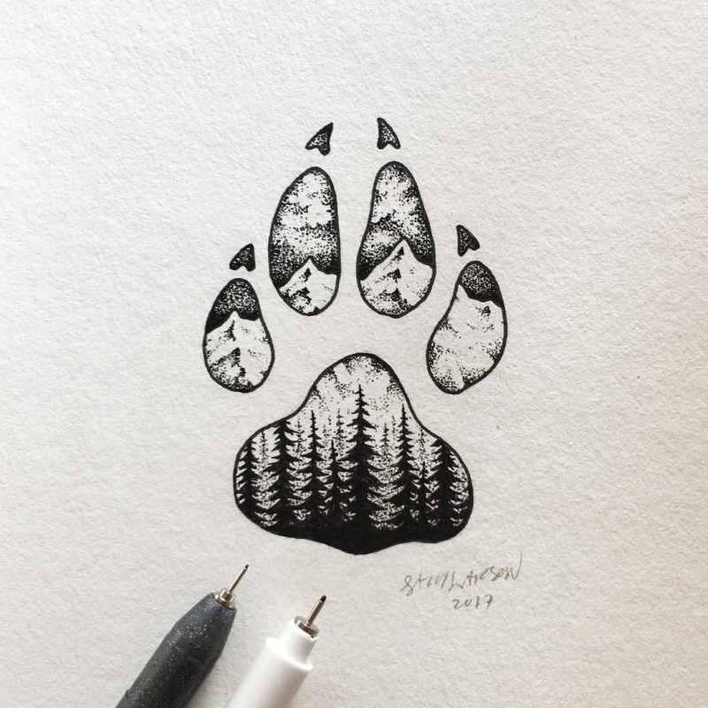 Лапка эскиз