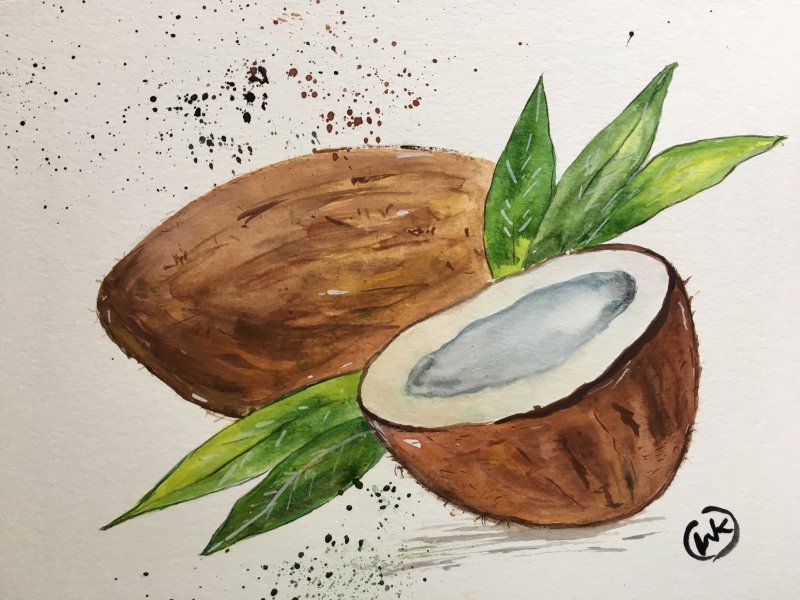 Кокос акварель