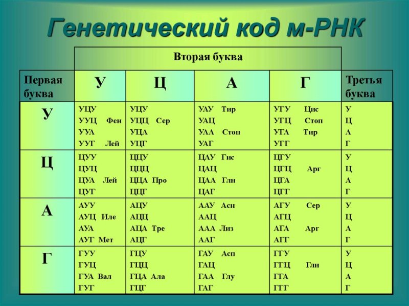 Генетический код