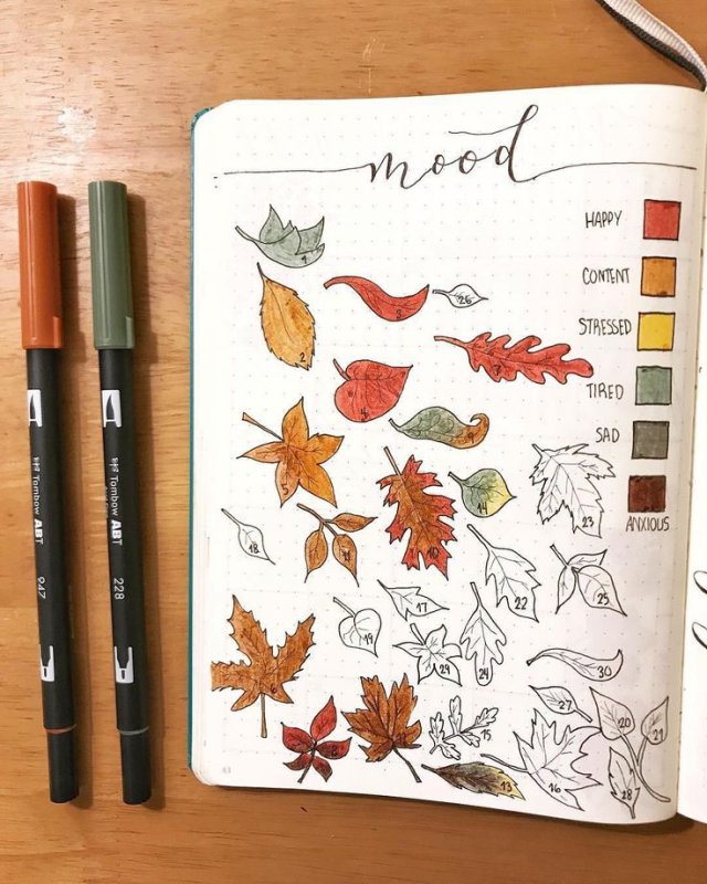 bullet journal осень