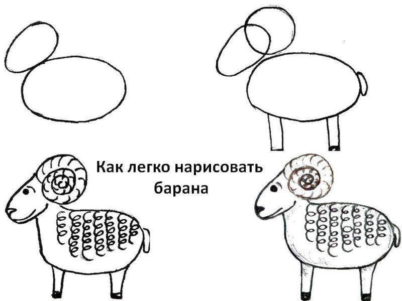 Барашек рисунок для детей карандашом