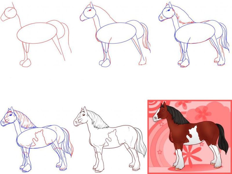 Поэтапный рисунок лошади
