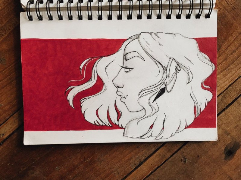 Drawing Diary