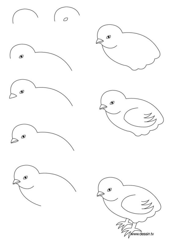 Легкие рисунки