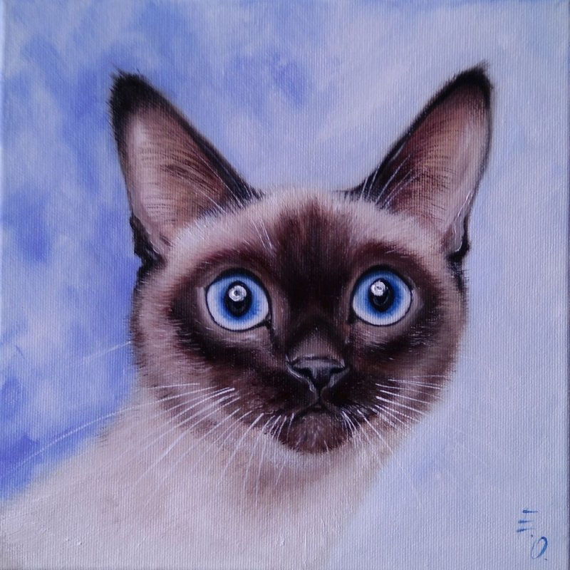 Сиамская кошка карандашом