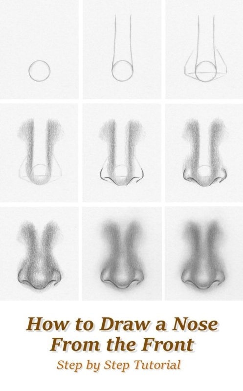 Нос рисунок карандашом для начинающих