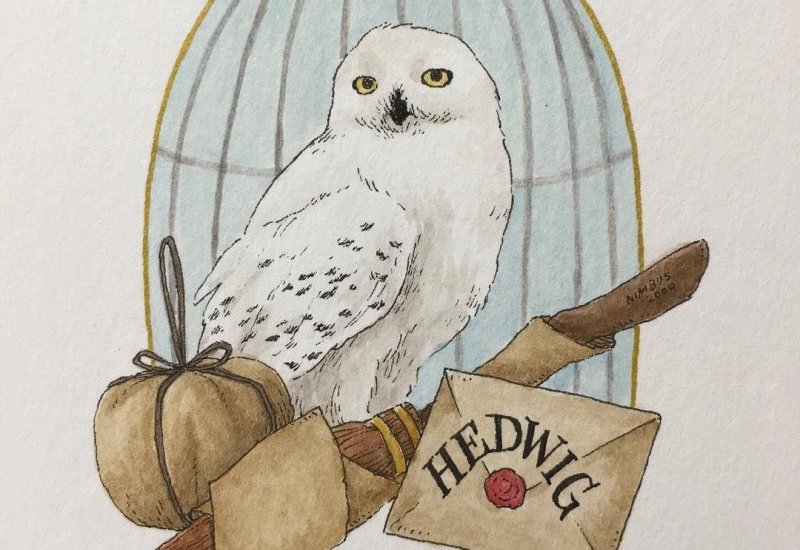 сова гарри поттера букля