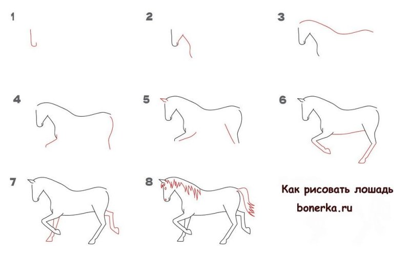 Лошадь рисунок