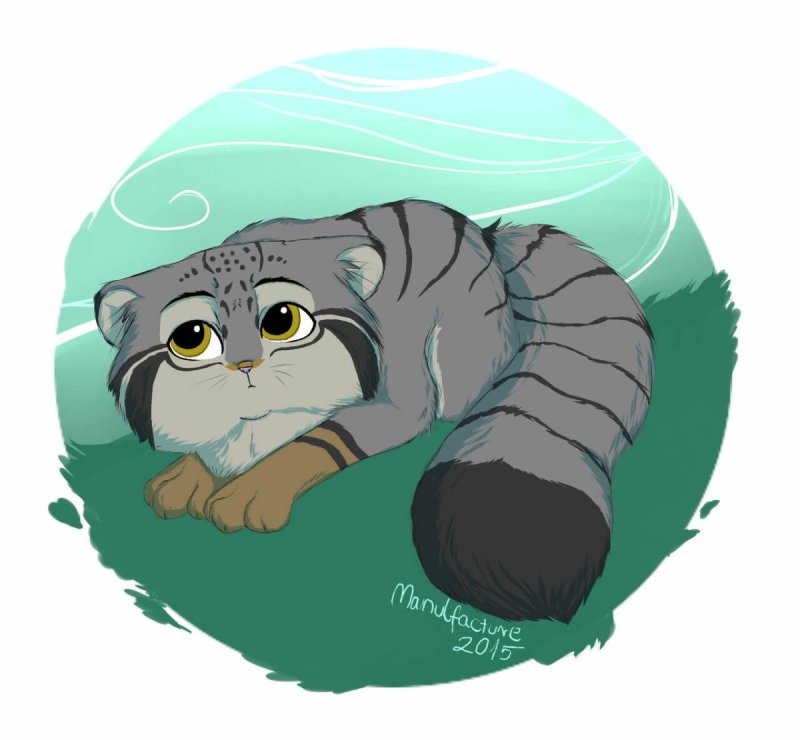 Манул милота