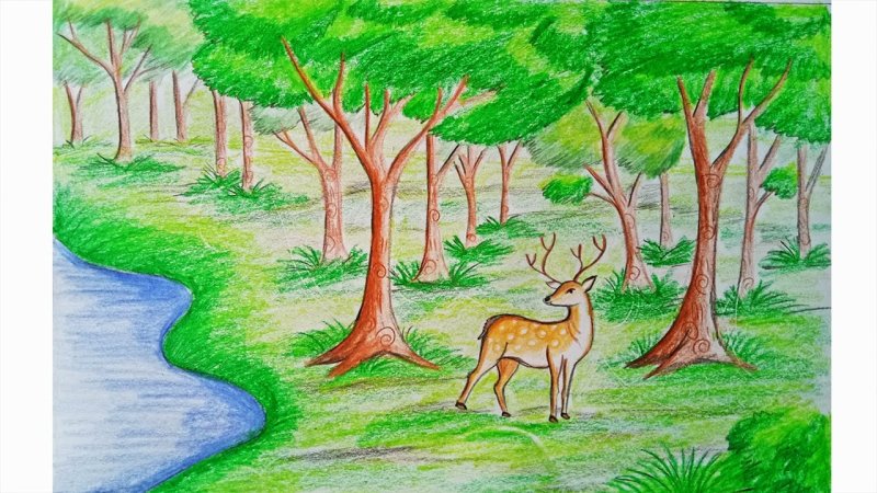Рисунки для срисовки природа