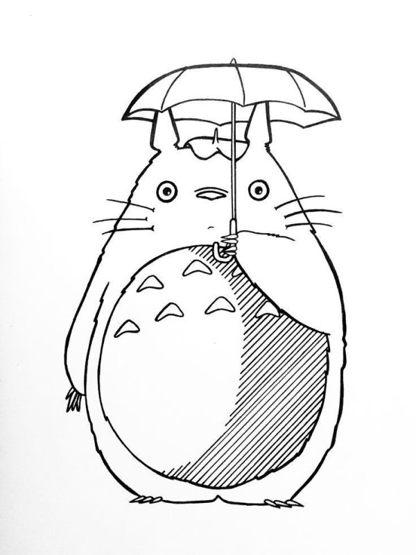 Тоторо рисунок карандашом