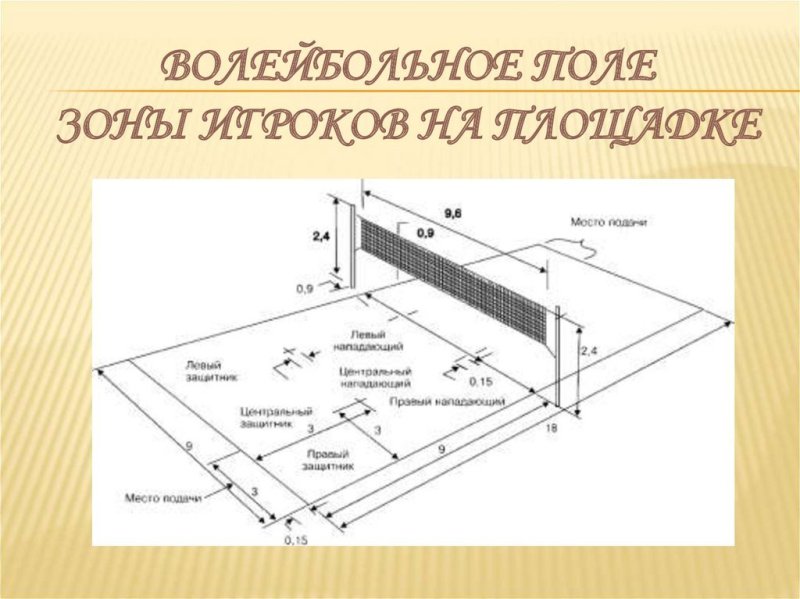 Волейбольная площадка схема с зонами