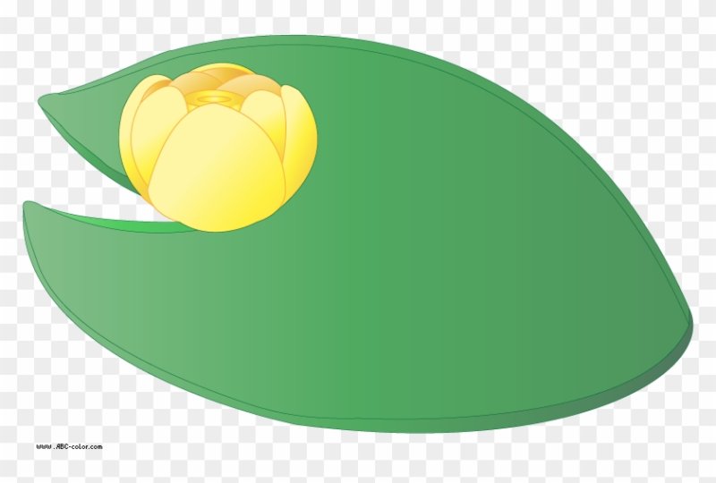 Листок кувшинки